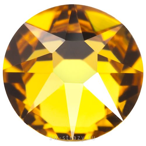 2088 ss 20 Sunflower F